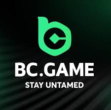 Exploring the Thrills of the BC.Game Gambling Platform