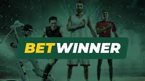 Explore the Exciting World of BetWinner Casino 2116905736