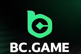 BC.Game RO Payment Methods A Comprehensive Guide 832598221